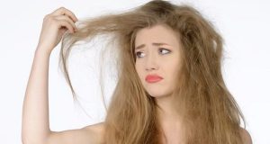 Top 3 Homemade Conditioners For Dry Hair