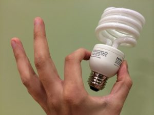 Death Above Our Heads: Energy-saving lamps are toxic to the brain, nervous system, liver, kidneys and heart