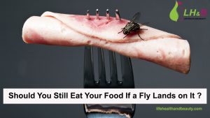 Should You Still Eat Your Food If a Fly Lands on It?