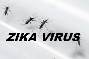Here’s How To Protect Yourself From Zika Virus
